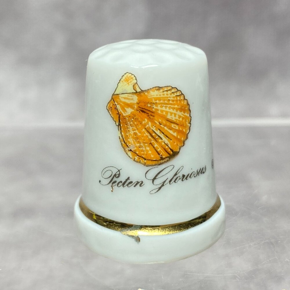 Porcelain Thimble Gold Trim & Scallop Shell Design Pecten Gloriosus By Agiftcorp